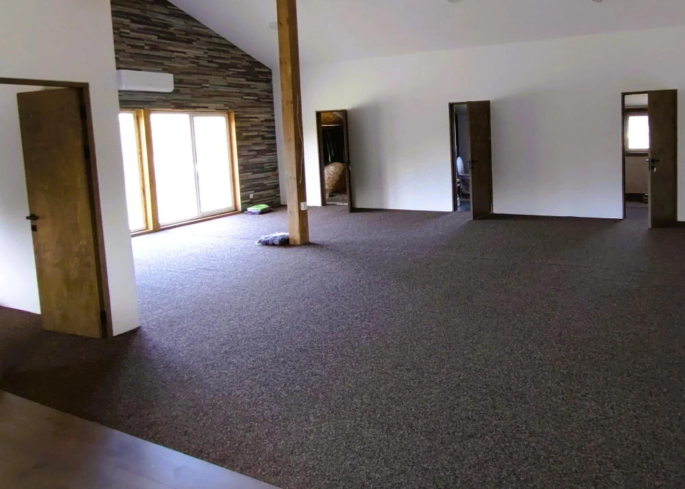 Premium klasės faneros durys